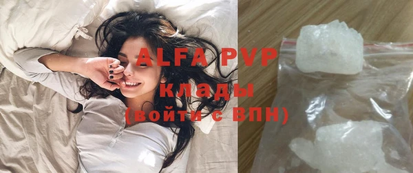 сатива Зерноград