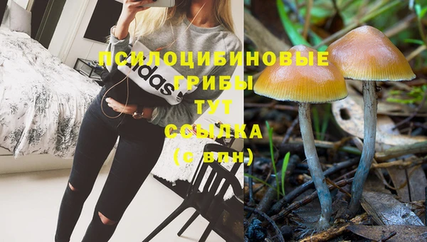 трава Зеленодольск