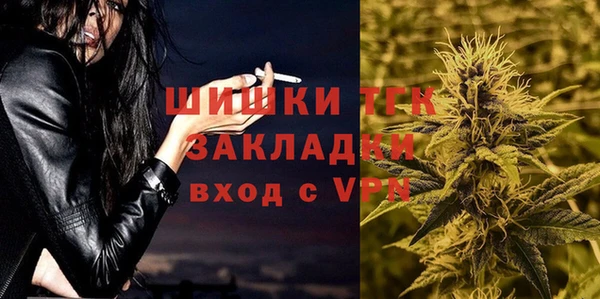 сатива Зерноград