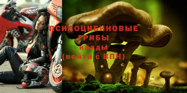 трава Зеленодольск