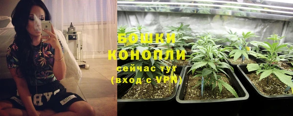 apvp Заводоуковск