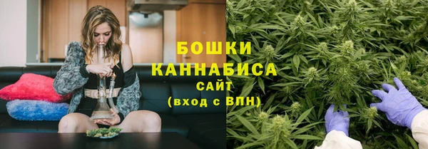 сатива Зерноград